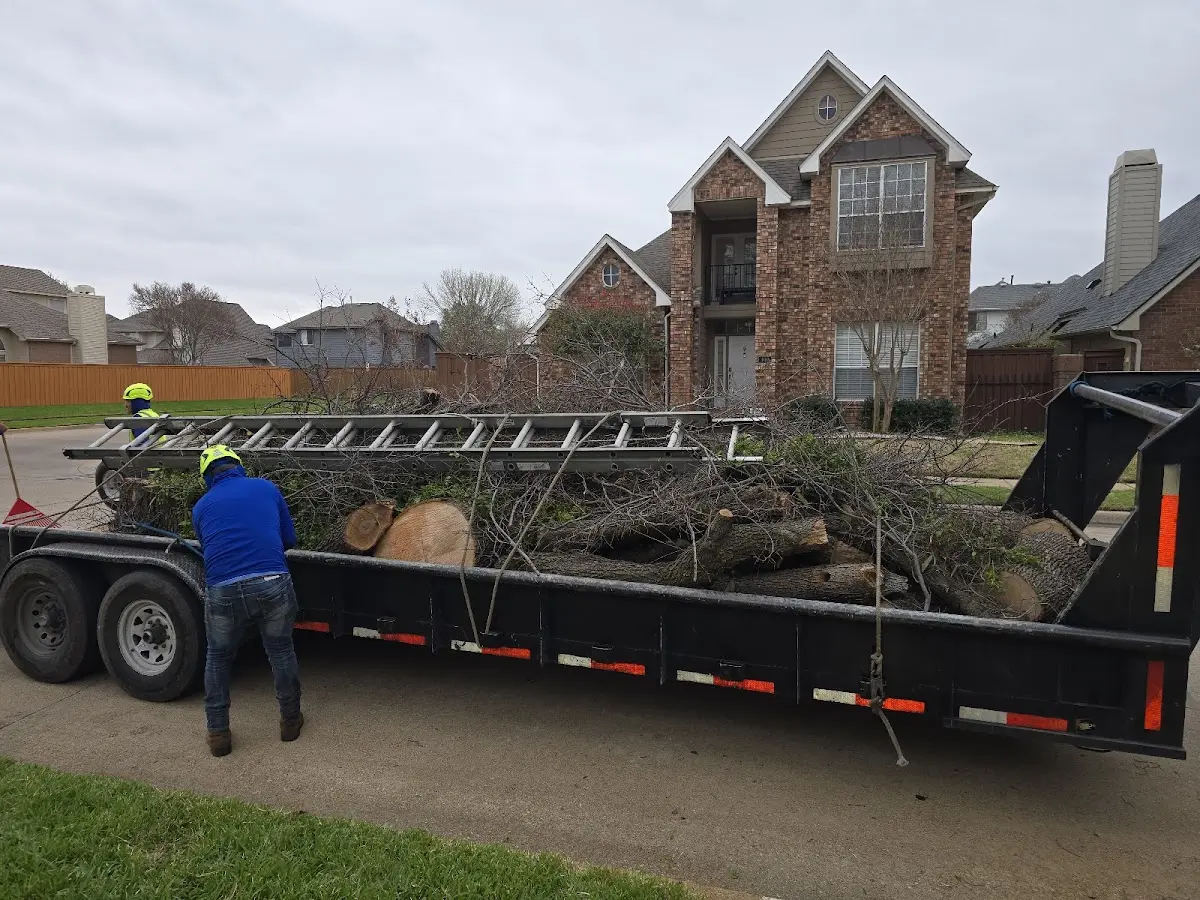 Expert Lot Clearing with proper safety equipment in Saint Ignatius